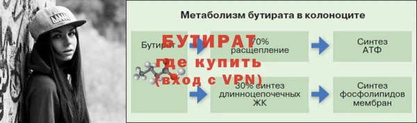 гашик Богданович